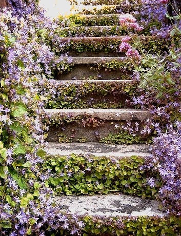 Lavender Stairs, British Columbia, Canada
