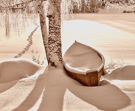 Freshly Fallen Snow, Stevens Point, Wisconsin