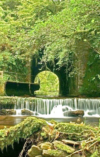 Waterfall Park, Glenshelane, Ireland