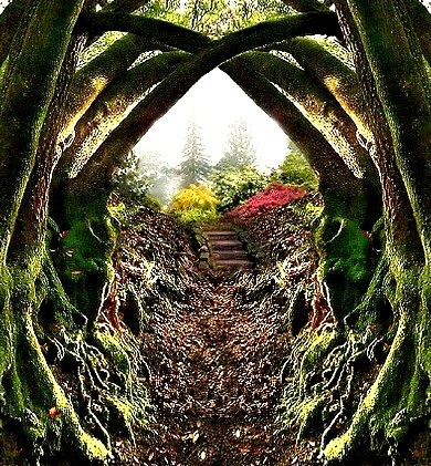 Garden Entrance, Redwood Regional Park, Oakland, California